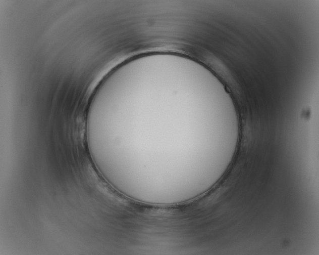 X0000113221284200910081332
