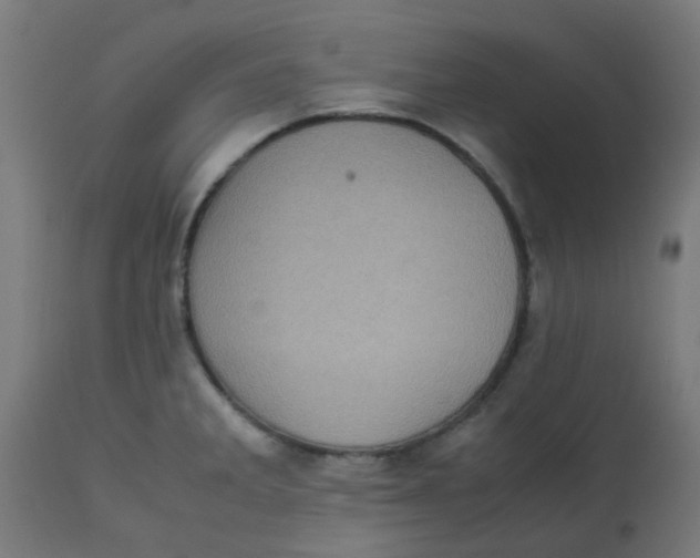 X0000113221285200910081332