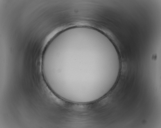 X0000113221286200910081332