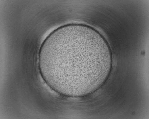 X0000113221287200910081332