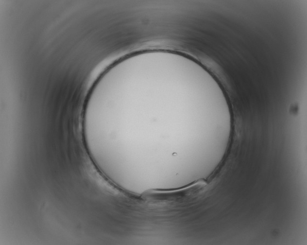 X0000113221288200910081332