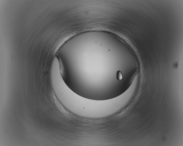 X0000113221289200910081332