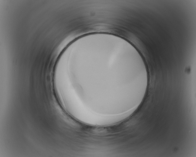 X0000113221291200910081332