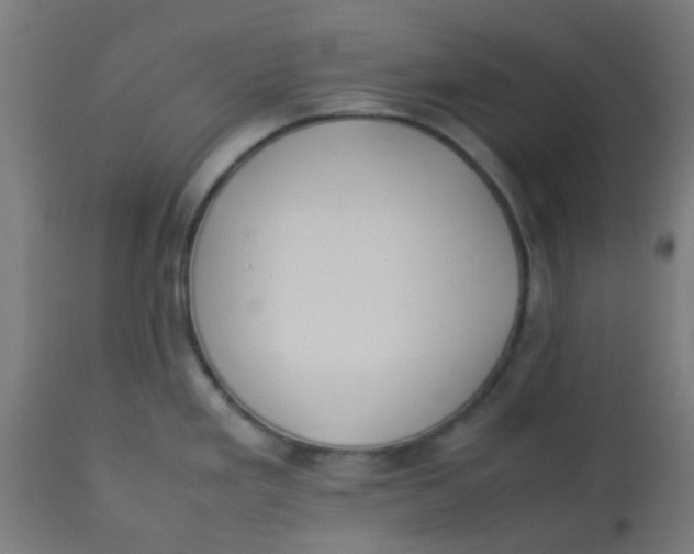 X0000113221293200910081332