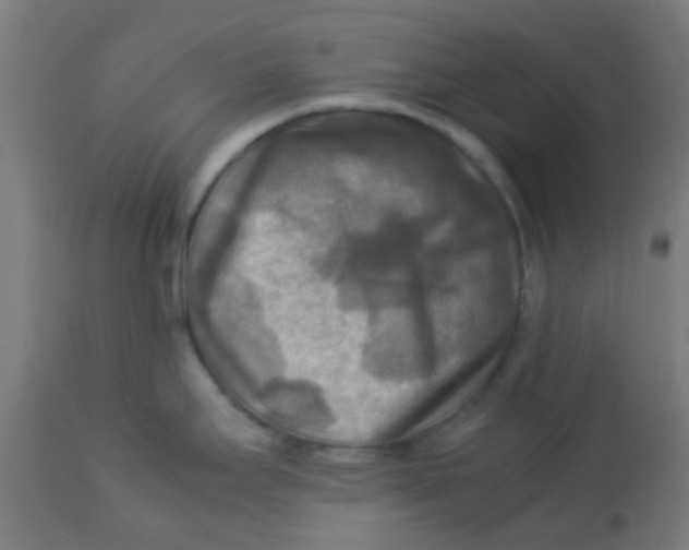 X0000113221295200910081332
