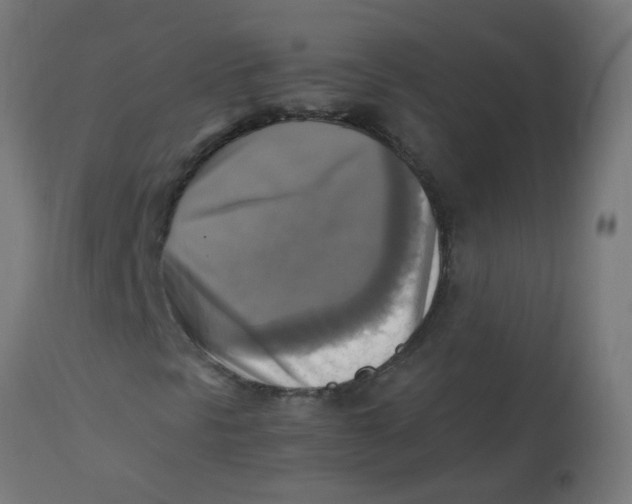 X0000113221297200910081331
