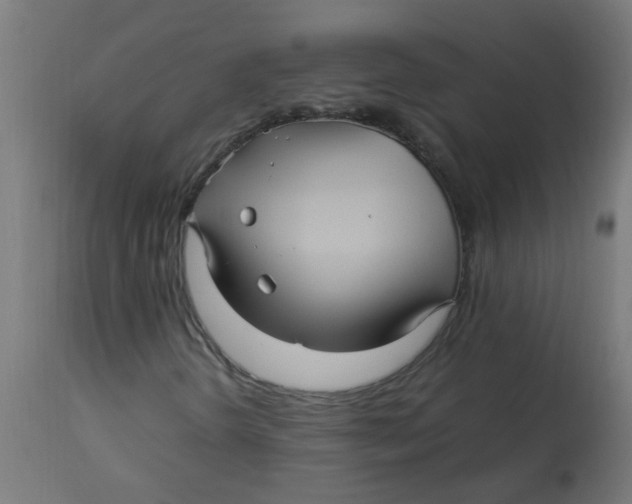 X0000113221298200910081331