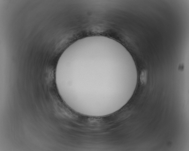 X0000113221299200910081331