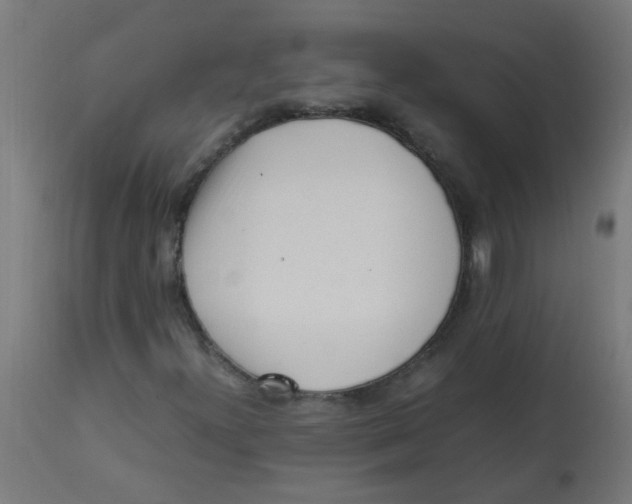 X0000113221300200910081331
