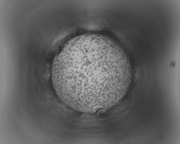 X0000113221301200910081331