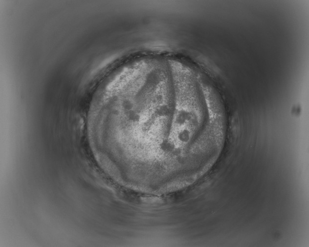 X0000113221302200910081331