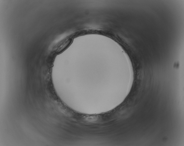 X0000113221303200910081331