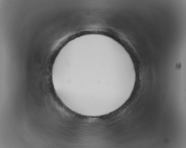 X0000113221304200910081331