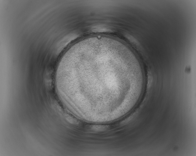 X0000113221305200910081331