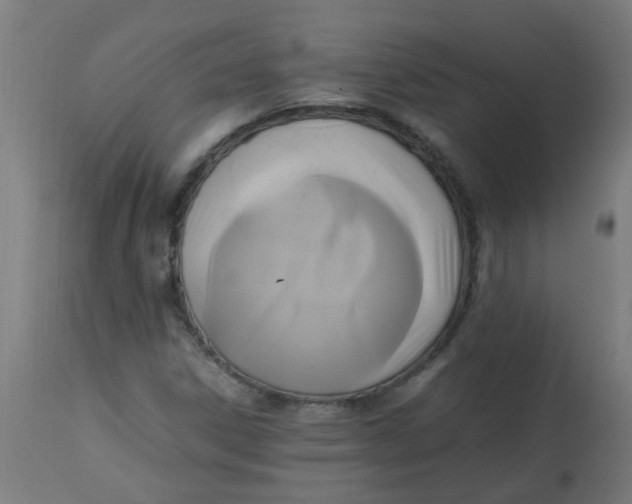 X0000113221306200910081331