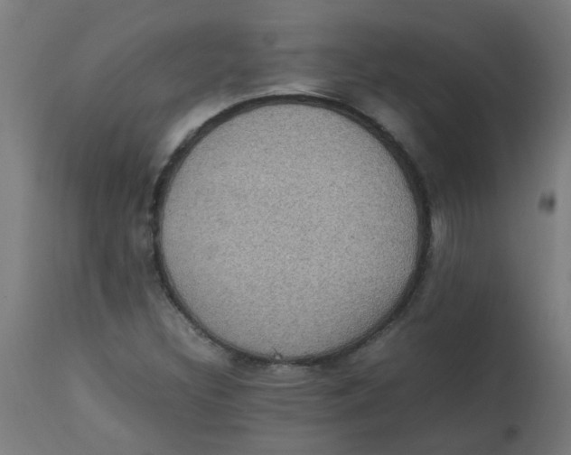 X0000113221308200910081331