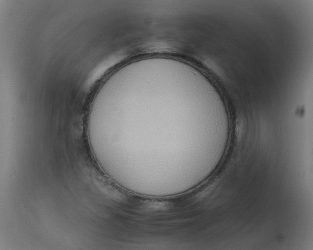 X0000113221309200910081331