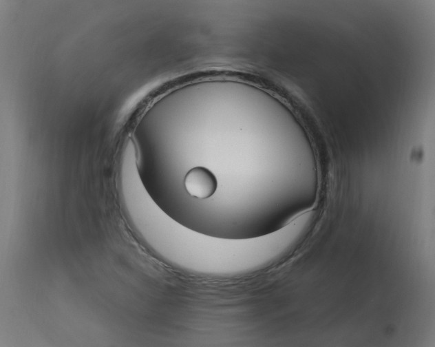 X0000113221310200910081331