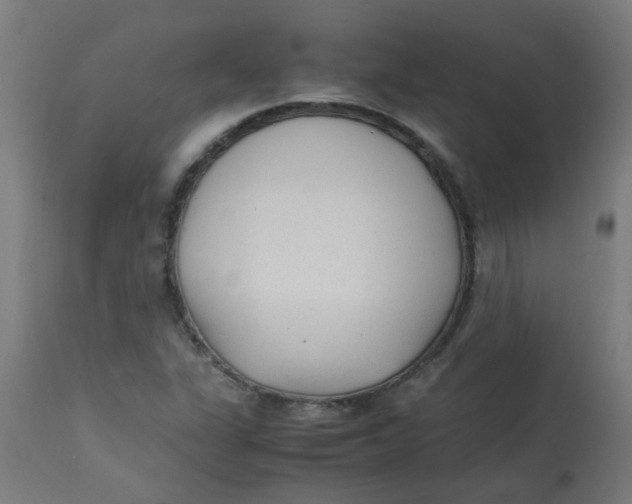X0000113221311200910081331