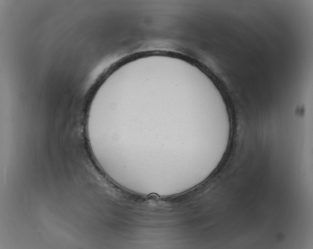 X0000113221312200910081331