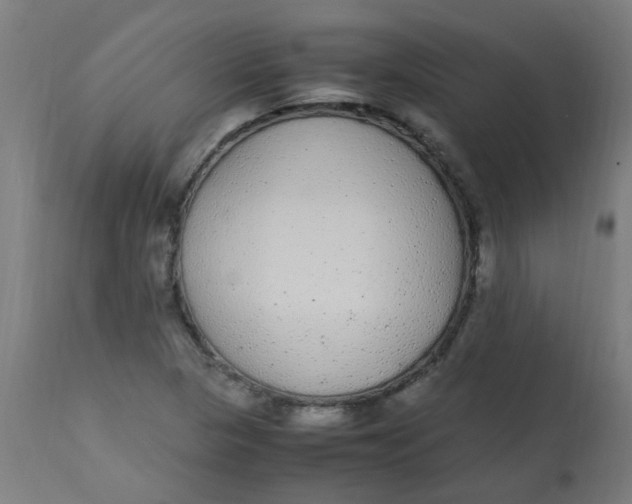 X0000113221313200910081331
