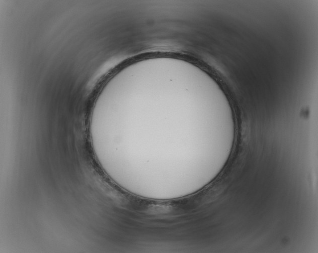 X0000113221315200910081331