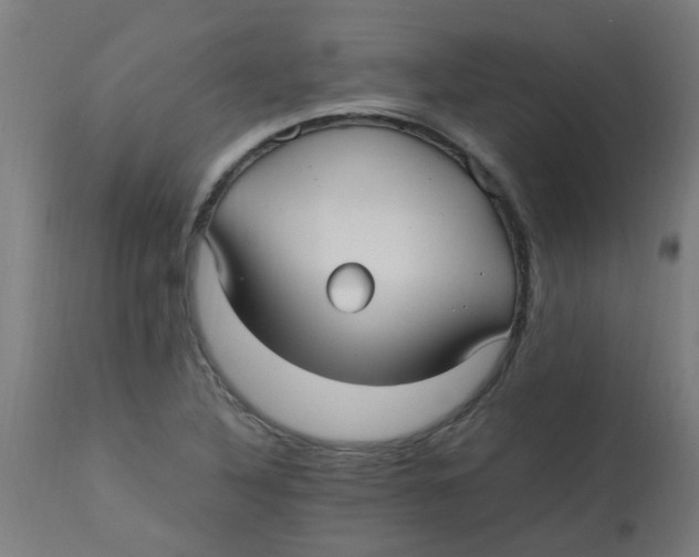 X0000113221316200910081331