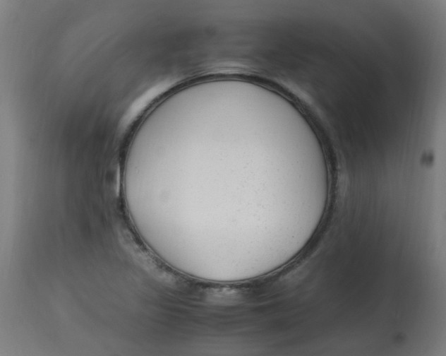 X0000113221317200910081331