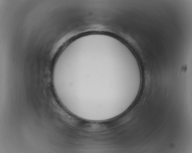 X0000113221318200910081331