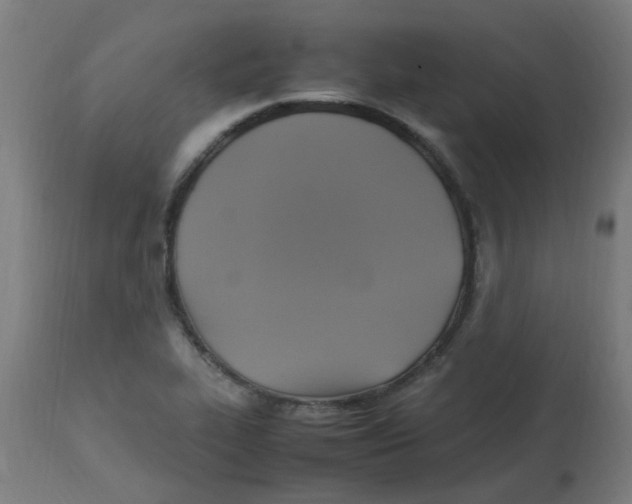 X0000113221319200910081331