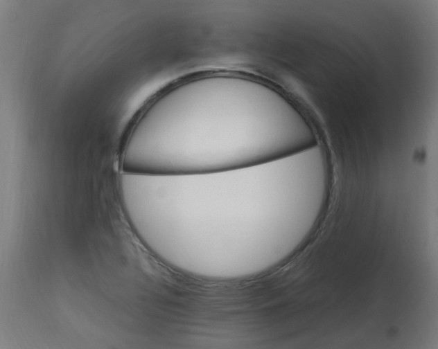 X0000113221320200910081331