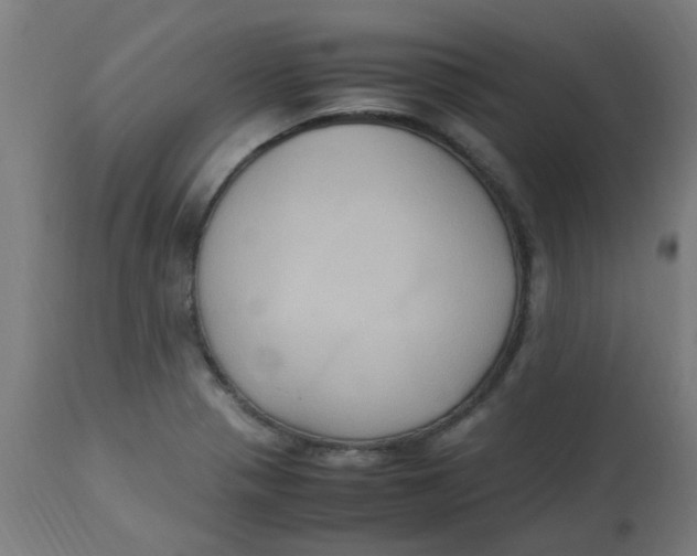 X0000113221321200910081331