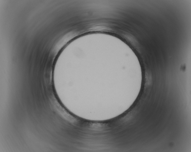 X0000113221322200910081331