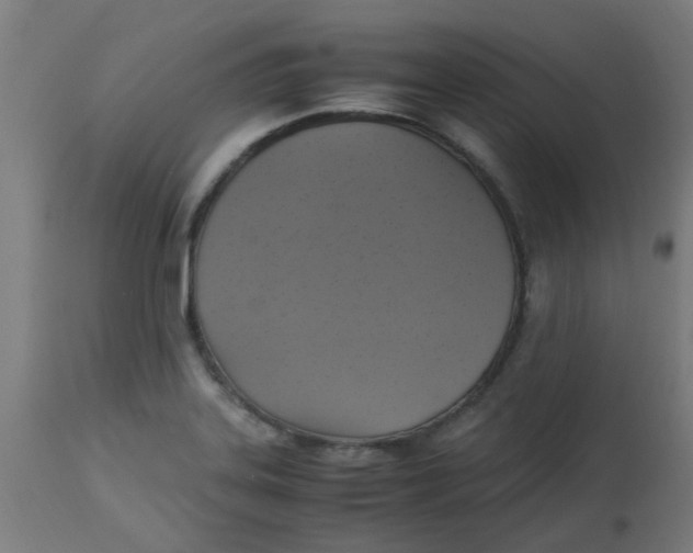 X0000113221323200910081331