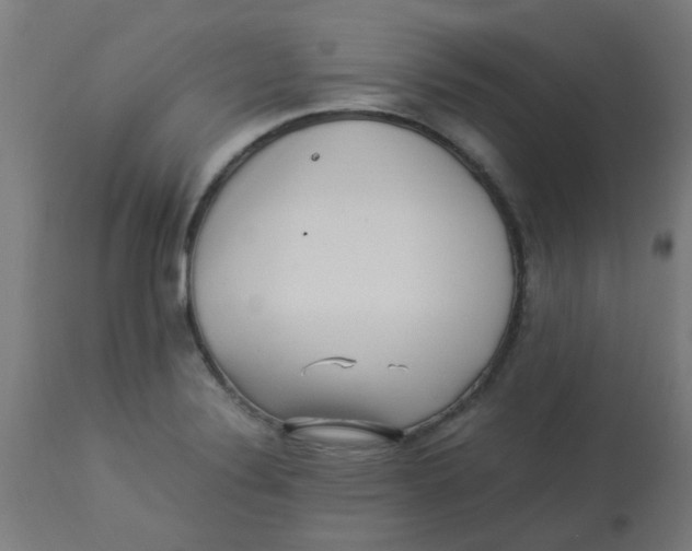 X0000113221324200910081331