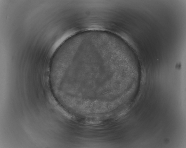 X0000113221325200910081331
