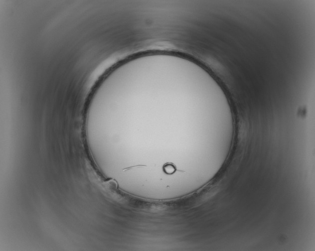 X0000113221326200910081331