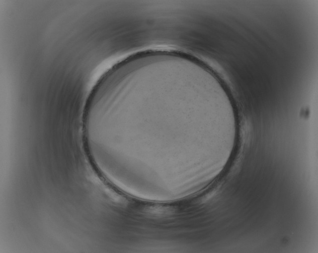 X0000113221327200910081331