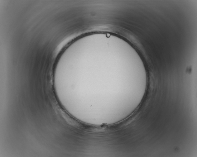 X0000113221328200910081331