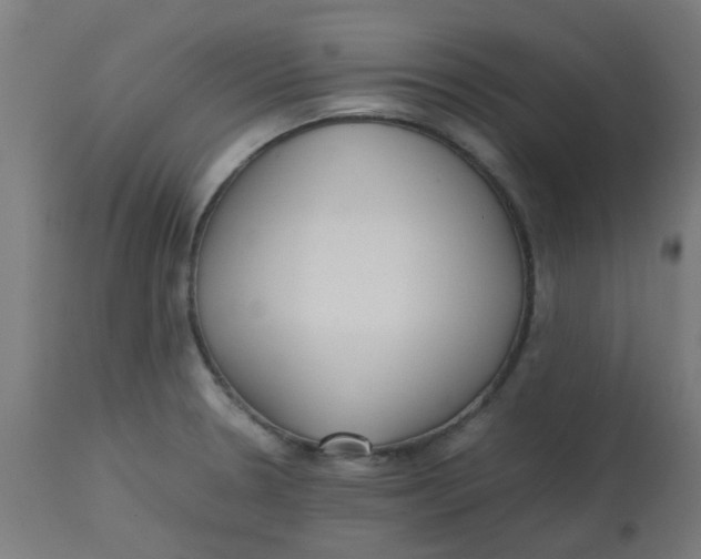 X0000113221330200910081331