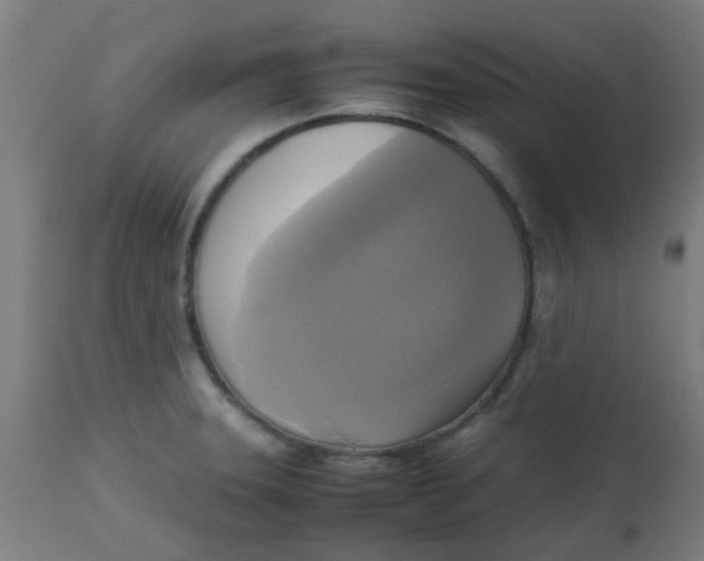 X0000113221331200910081331