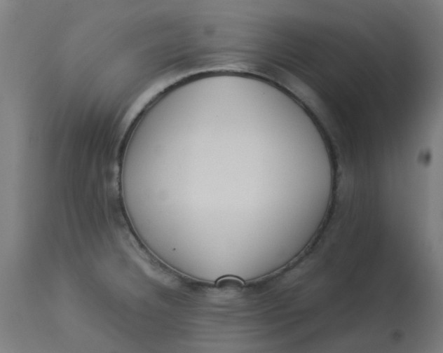X0000113221332200910081331