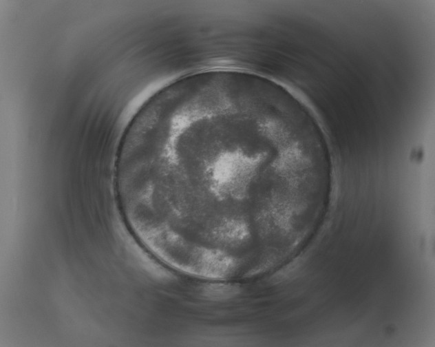 X0000113221333200910081331