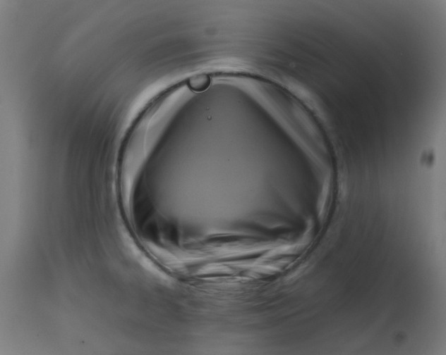 X0000113221334200910081331