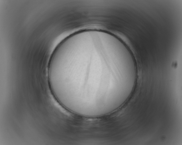 X0000113221335200910081331