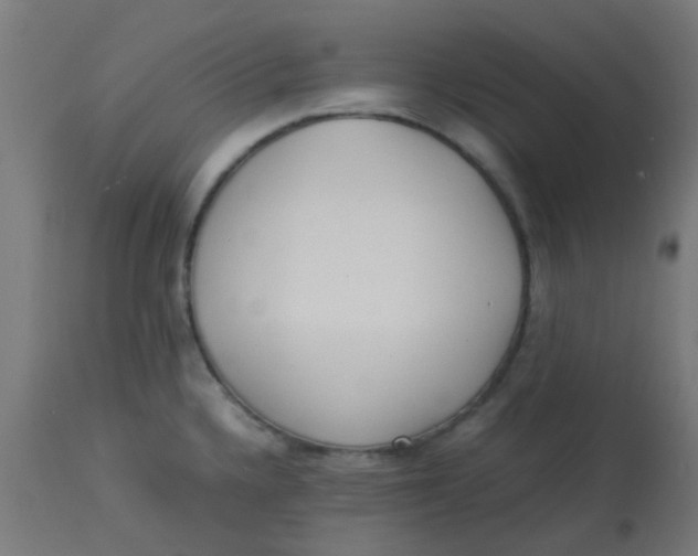 X0000113221336200910081331
