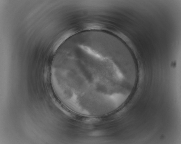 X0000113221337200910081331