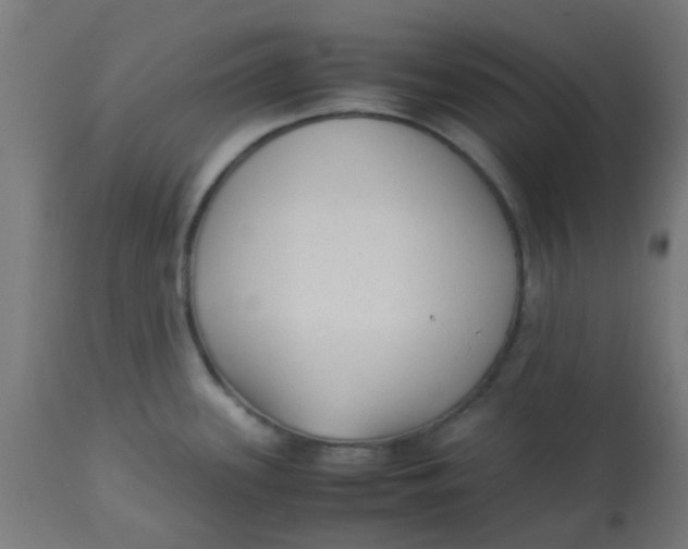 X0000113221339200910081332