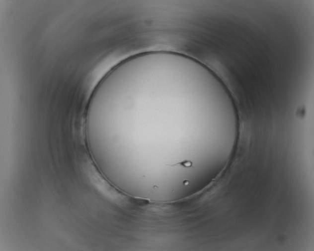 X0000113221340200910081332