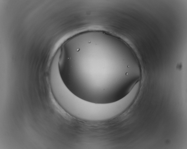 X0000113221342200910081332